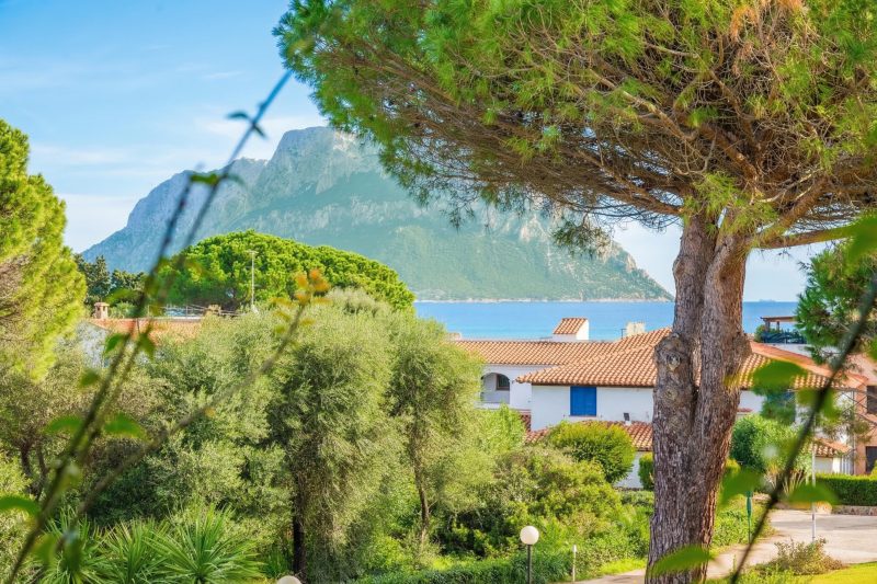 Piazzetta Casa Paola 200m From The Sea