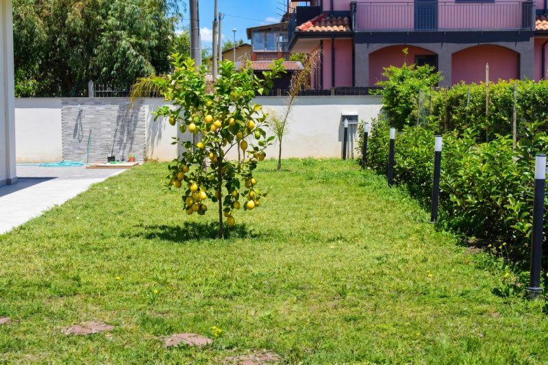 Corallo House 200m From The Sea