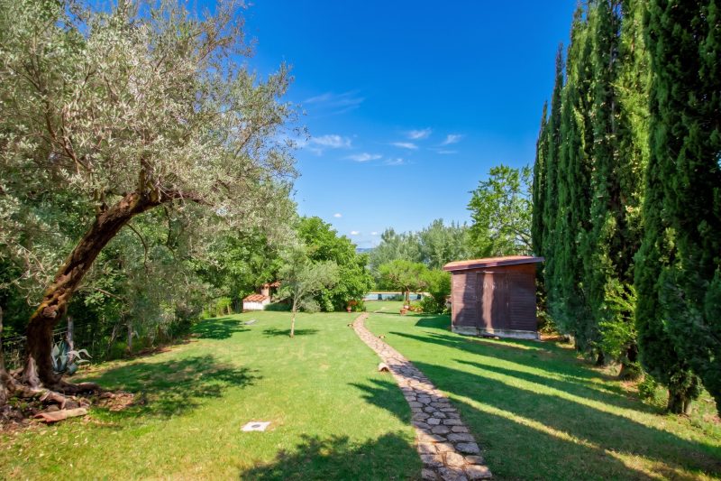 Villa Olmo With Private Pool