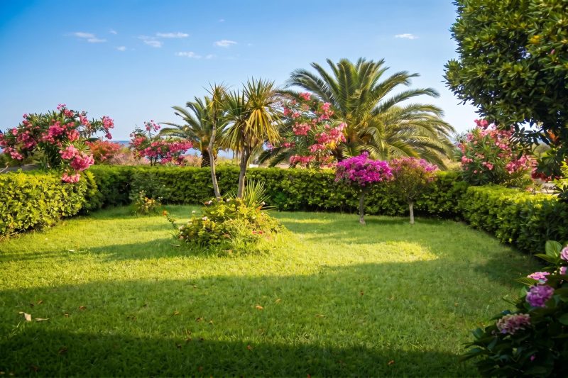 I Fari D201 600m From The Beach