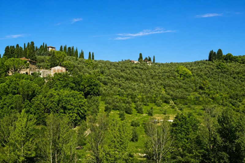 Podere Apostoli
