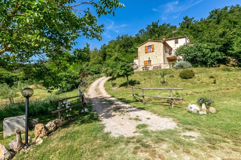 Podere del Ciacchi Among Tuscany Greenery