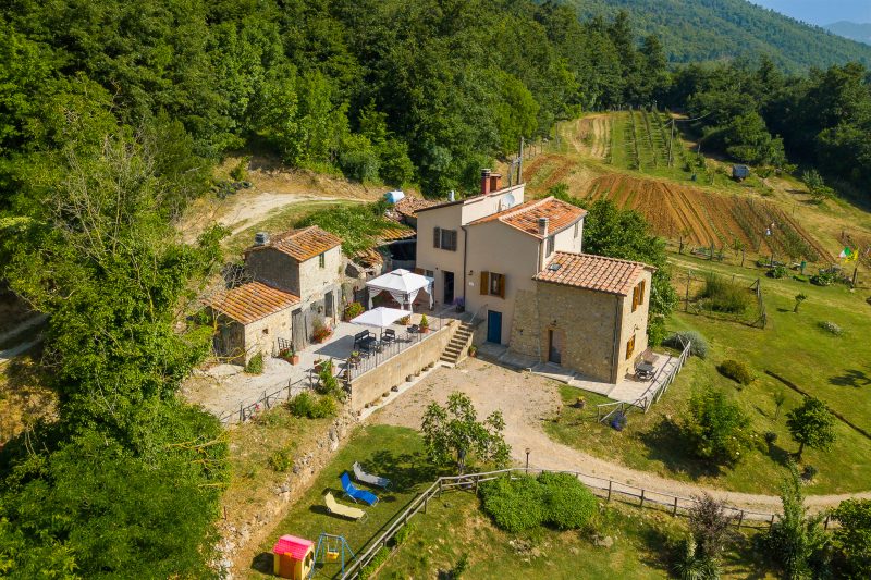Podere del Ciacchi Among Tuscany Greenery