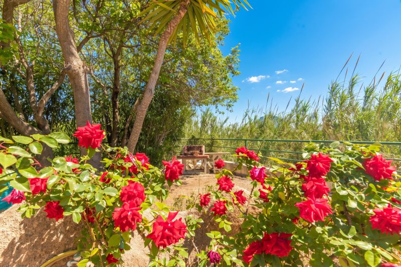 Trilo Debora 2Km From The Beach