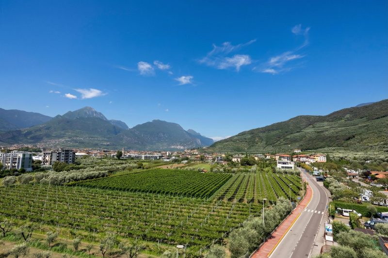 Il Piccolo Nido - Lake View Studio with Balcony