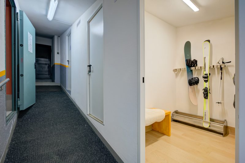 Orchidea