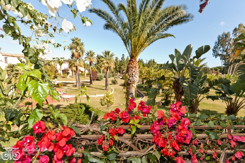 Baia Delle Palme Bilo 4 Premium
