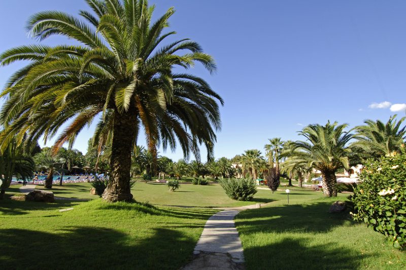 Baia Delle Palme Bilo Premium