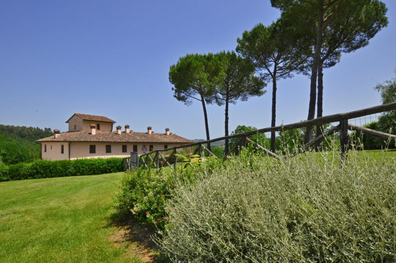 Francigena 4