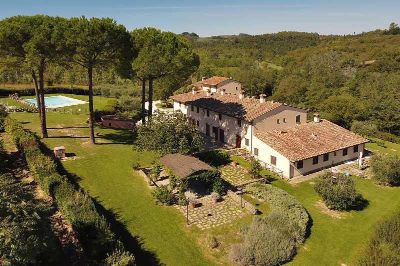 Francigena 4
