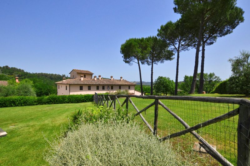 Francigena 4