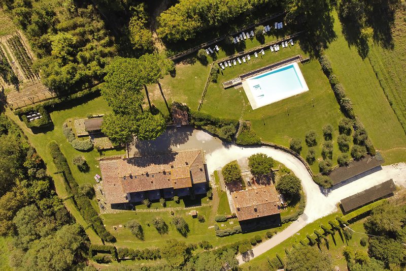 Francigena 4