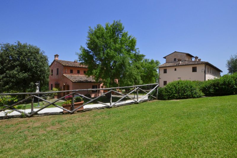 Francigena 5