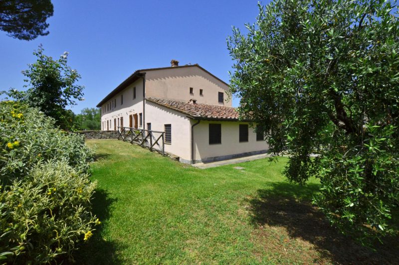 Francigena 4