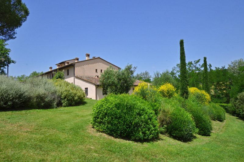 Francigena 4