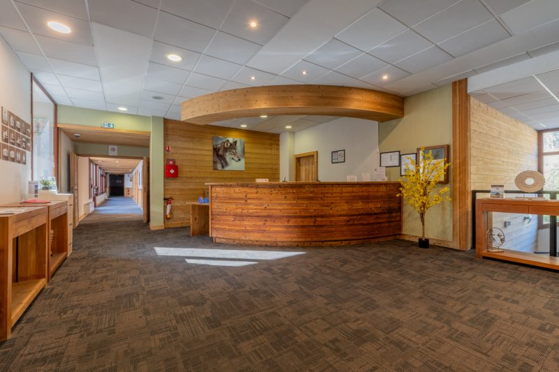 l'Ours Bleu B01 Ski-In at Vallorcine| Shared Pool, Gym & Wellness