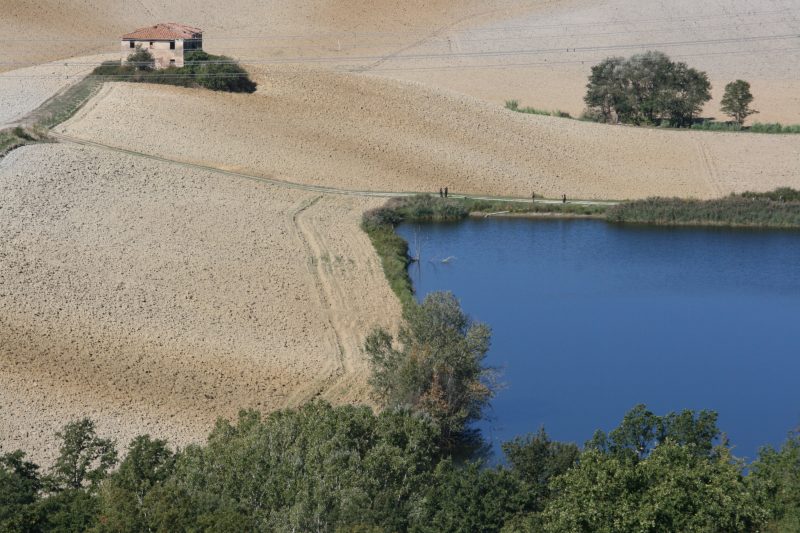 Chianti Site Olmo Shared Pool