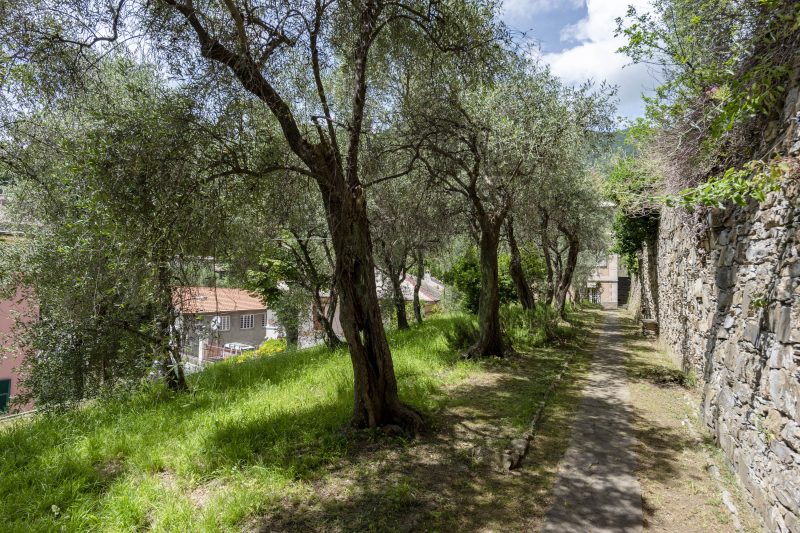 Salvia House In Mulinetti - 10min walk from Beaches