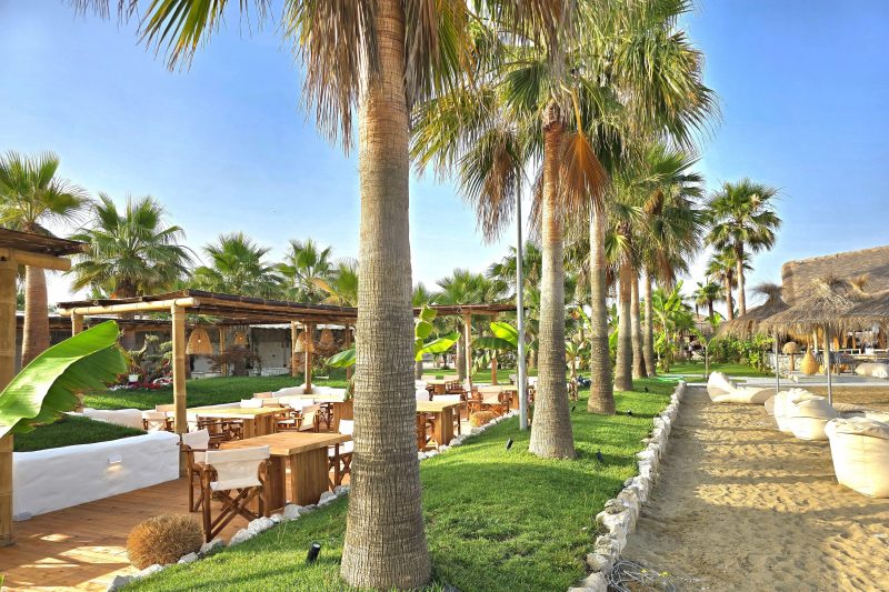 Modern Villas in Perla Resort 221