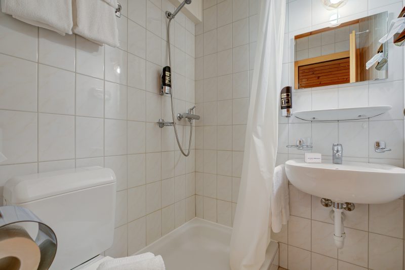 Hotel Relais Alpin Single Ski In-Out 3 133