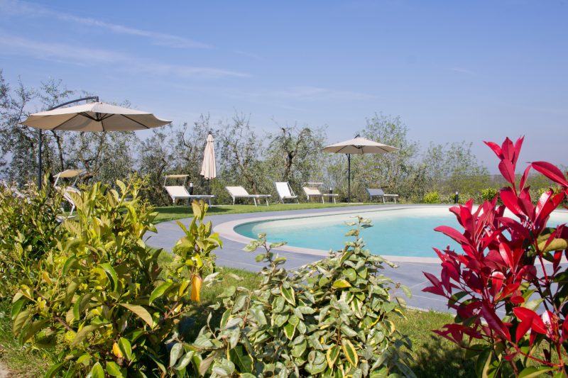 Great View Dependance Pool & Relax