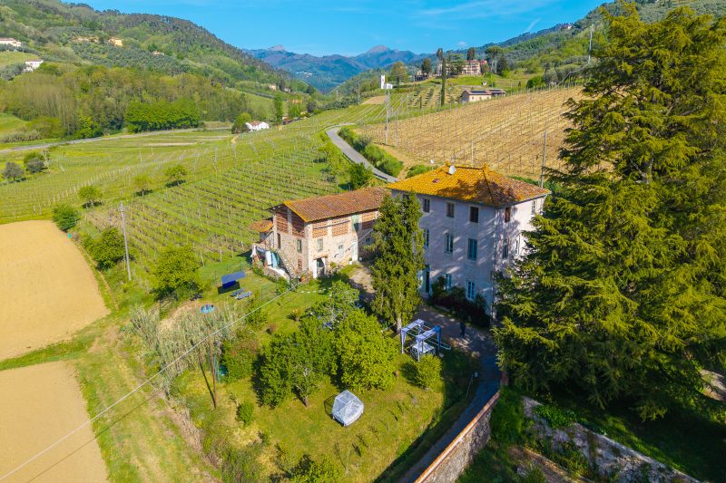 Romantic Apt Jacuzzi,Private Garden & Pet Friendly