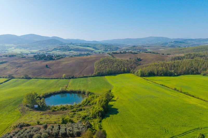 La Pieve Di San Martino - APT Gelsomino
