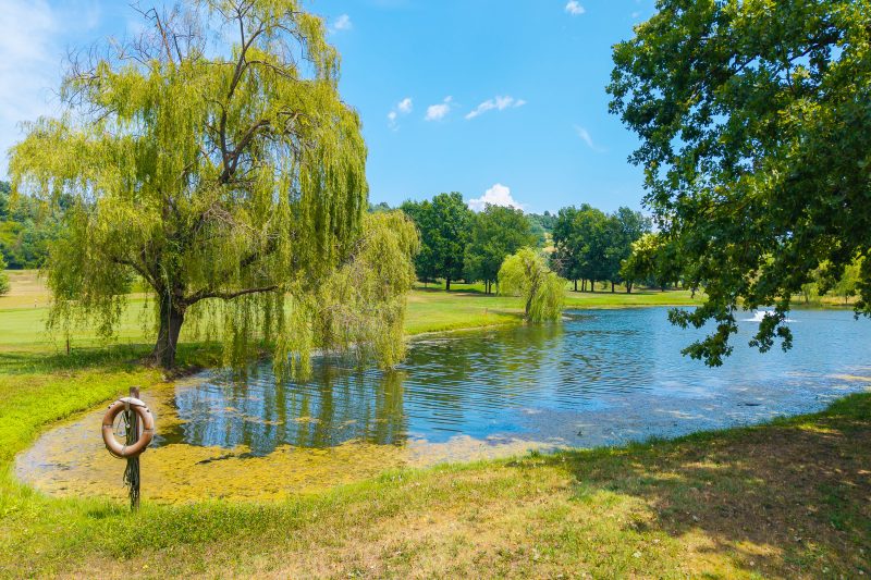 Villa Carolina Golf View 15