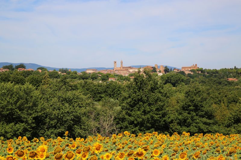 Fontesecca