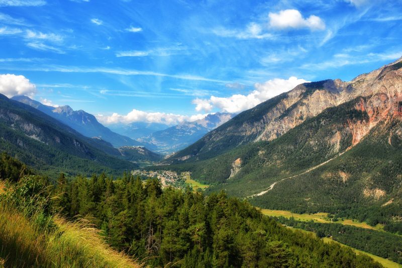 Abeti Mountain View
