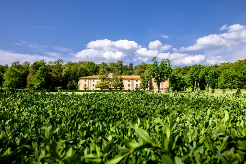 La Via degli Dei Base Trekking Home with Garden