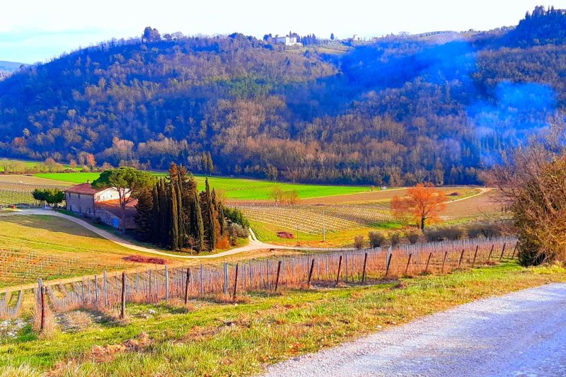 Villa Salivolpe Amazing Chianti View 8