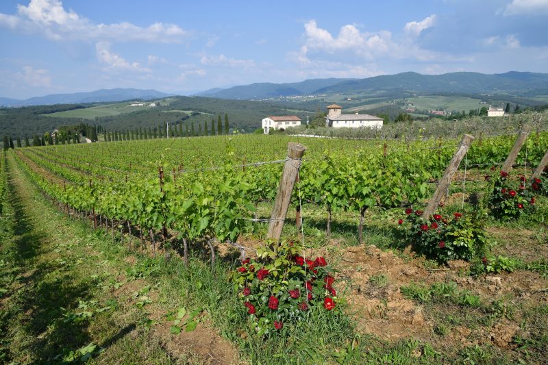 Villa Salivolpe Amazing Chianti View 8