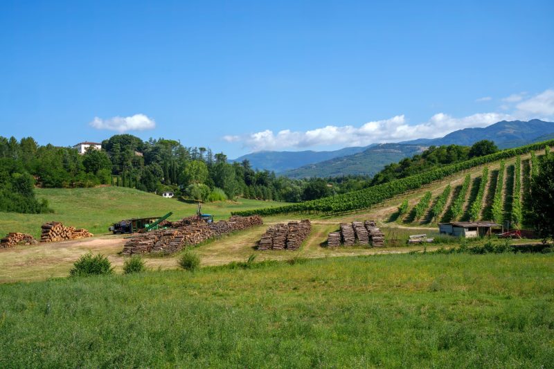 Tuscan Country House with Private Garden for 4