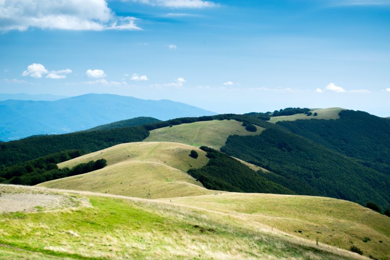 Tuscan Country House with Private Garden for 4