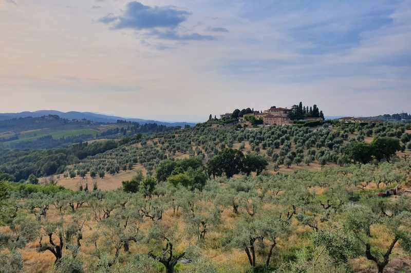 Relaxing Tuscan Terrazza near Florence 4|Shared Pool