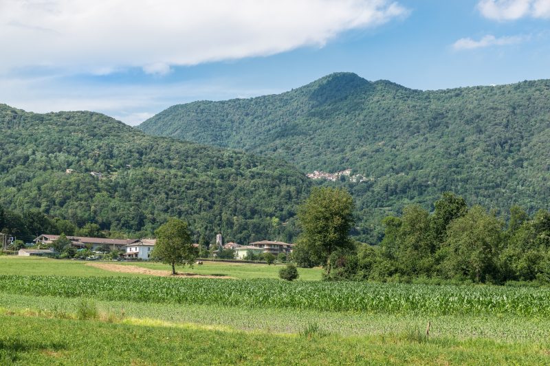 Viola Apartment Lake Maggiore Retreat w/ Private Garden & Parking