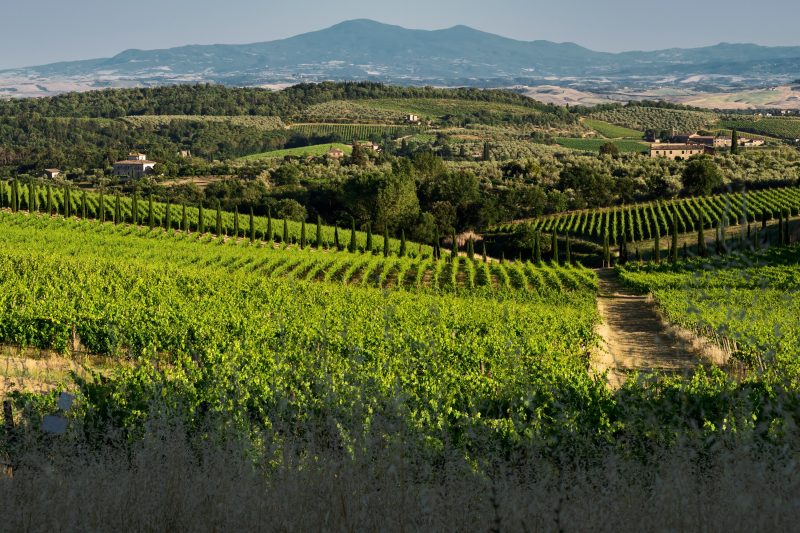 Romantic Apartment In Chianti Classico