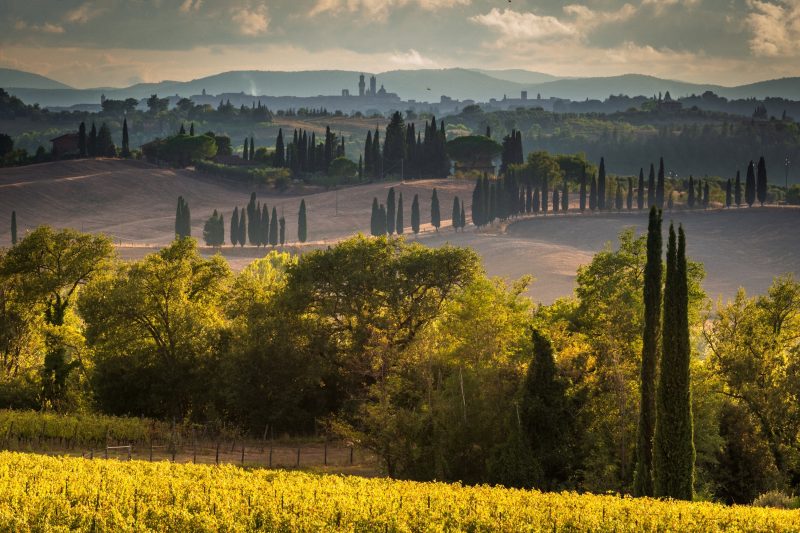 Romantic Apartment In Chianti Classico