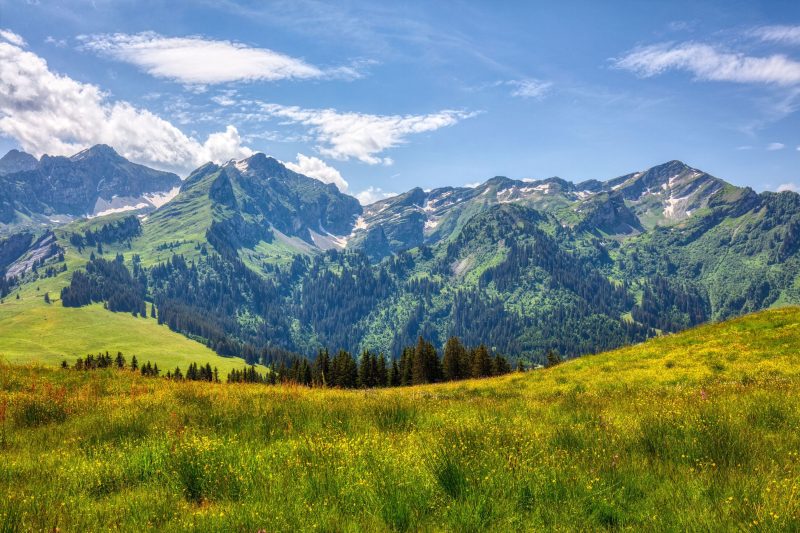 Hotel Relais Alpin Family Room & Balcony6 138