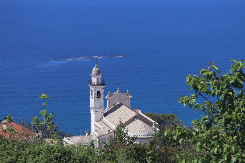 Respiro Di Mare Cavi Di Lavagna