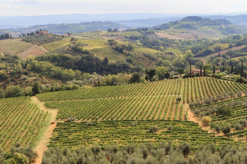 La Pieve Di San Martino - APT Gelsomino