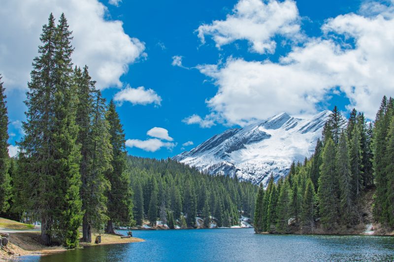Residenza Castanea 103 Modern Alpine Stay In San Bernardino | Ski, Hiking & Nature