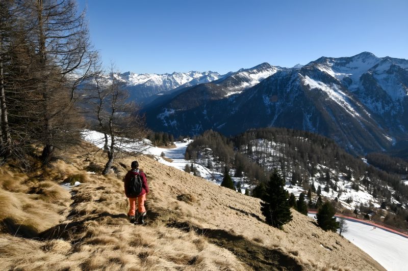 Ski In-Ski Out Apartment in Peio Val di Sole