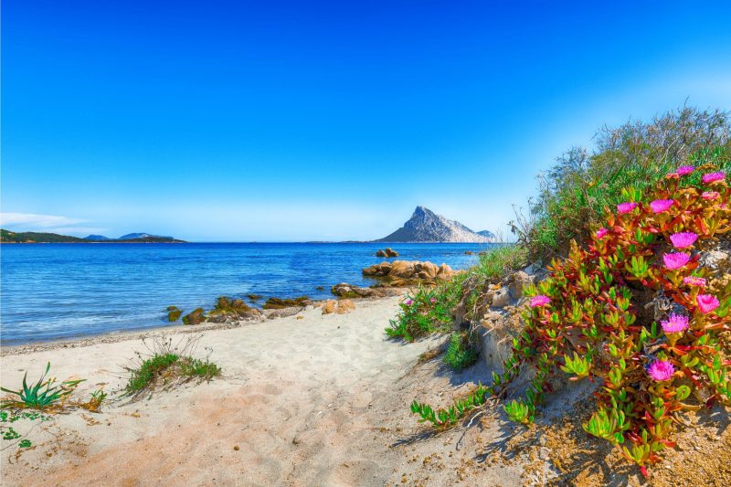 Bilo Danilo Few Minutes From Sea