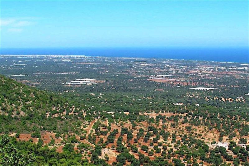Casa Vacanze Minare Selva di Fasano