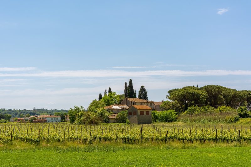 Villa Cerbaie