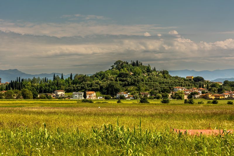 Villa Cerbaie