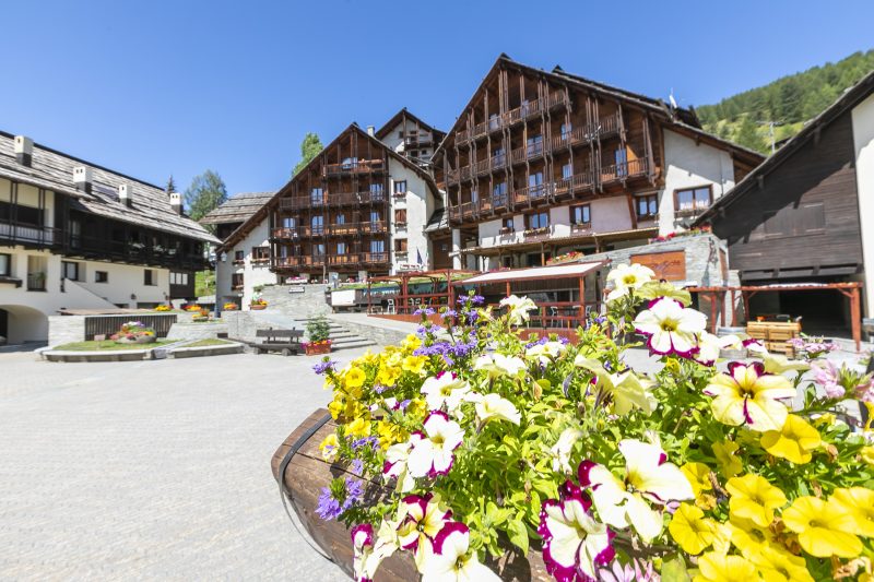 Studio Grange Nest Ski & Relax