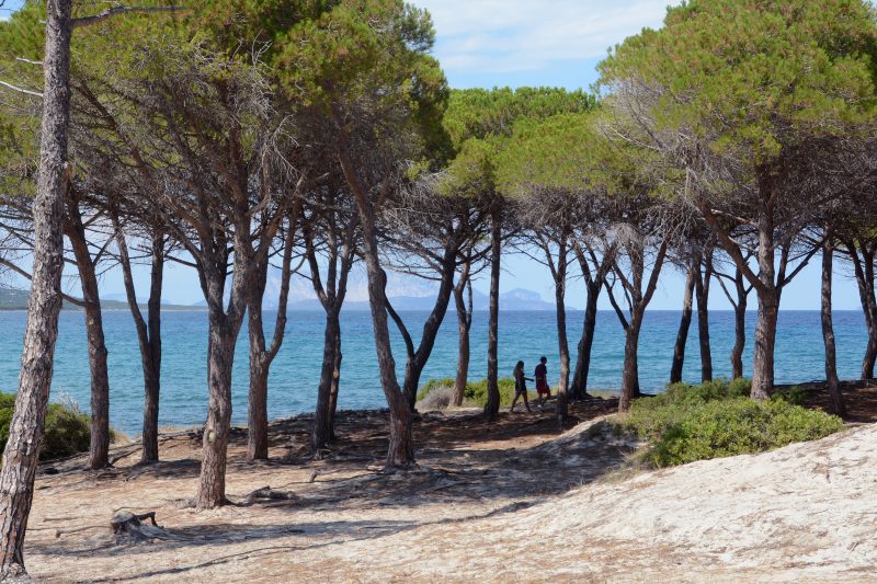 Budoni Beach Homes